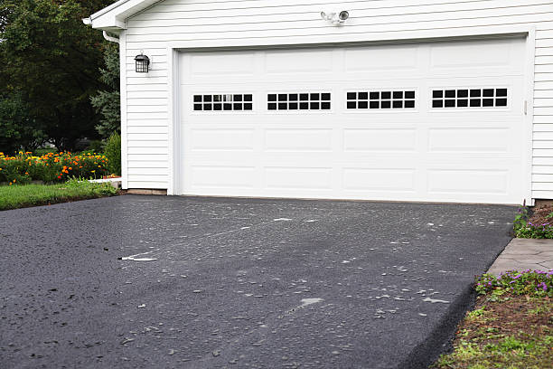 Best Carpet Removal and Disposal  in Rushville, IN