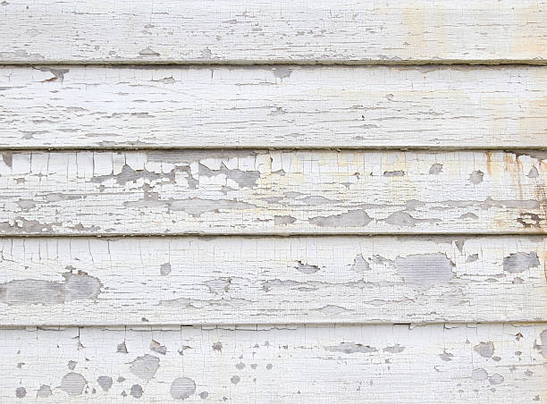 Trusted Rushville, IN Junk Removal Experts