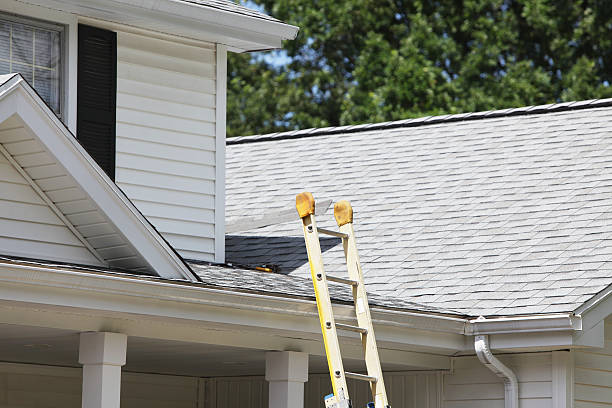 Best Shed Removal  in Rushville, IN
