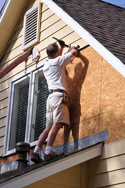 Best Hoarding Cleanup  in Rushville, IN